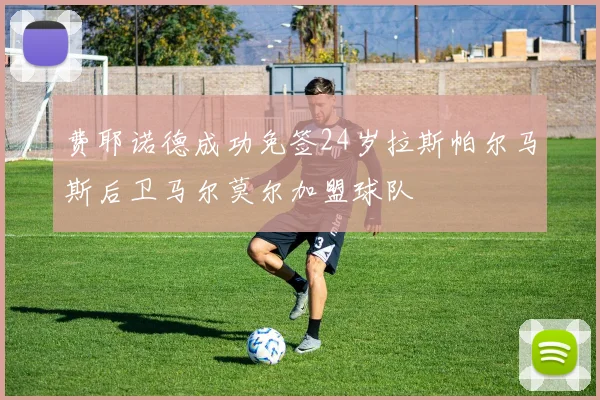 费耶诺德成功免签24岁拉斯帕尔马斯后卫马尔莫尔加盟球队