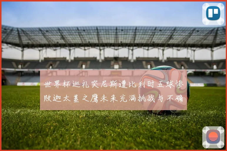 世界杯巡礼突尼斯遭比利时五球惨败迦太基之鹰未来充满挑战与不确定性